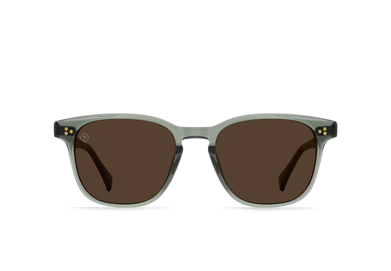 ALVEZ Pinyon Grove / Vibrant Brown Polarized - 50