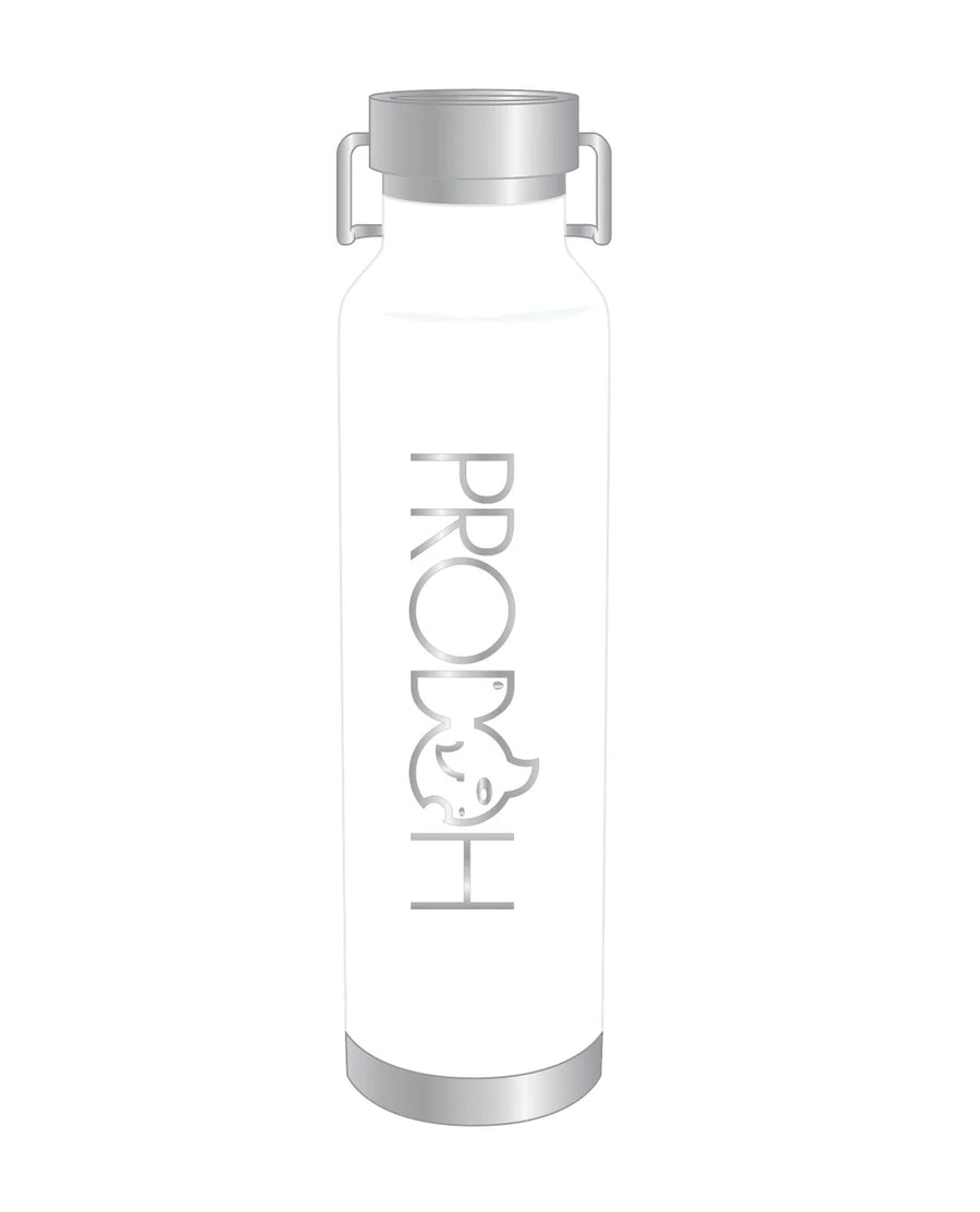 Stainless Steel Sports Water Bottle