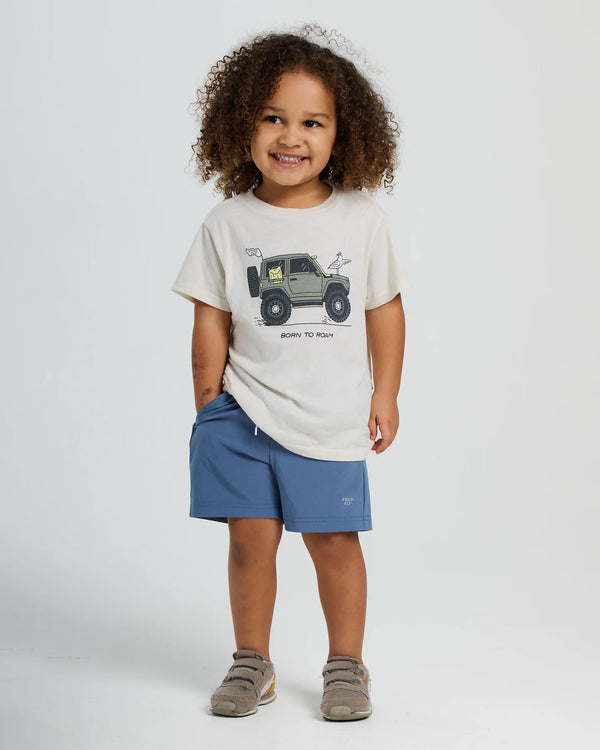 Toddler Born to Roam Tee - Heather Birch